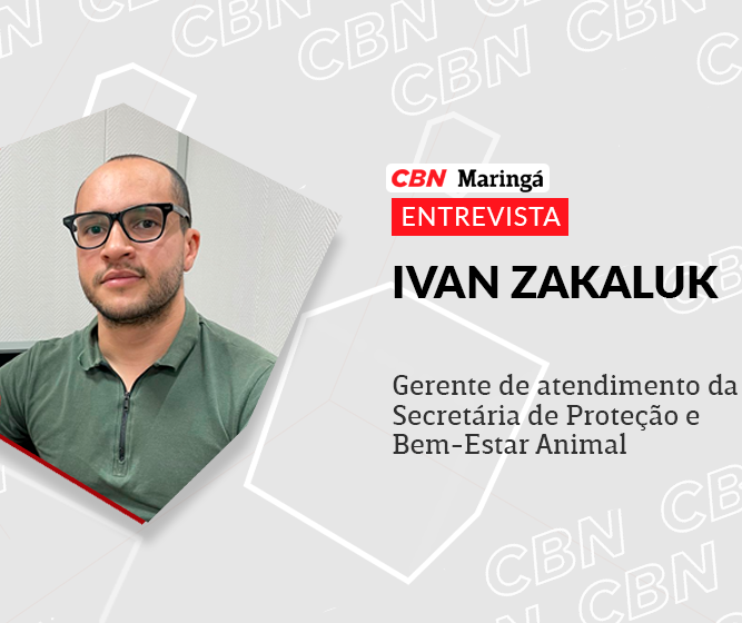 Desde 2017, foram realizadas 36.315 castrações de cães e gatos em Maringá 