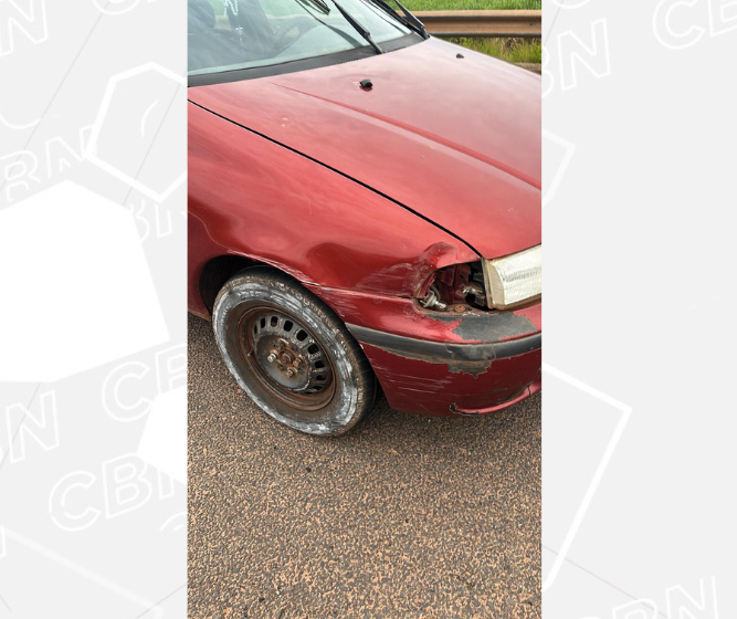 Motorista embriagado e sem CNH dirige pela contramão e é preso
