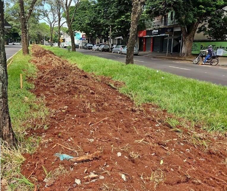 Veja como está a obra da ciclovia da Avenida Tuiuti em Maringá