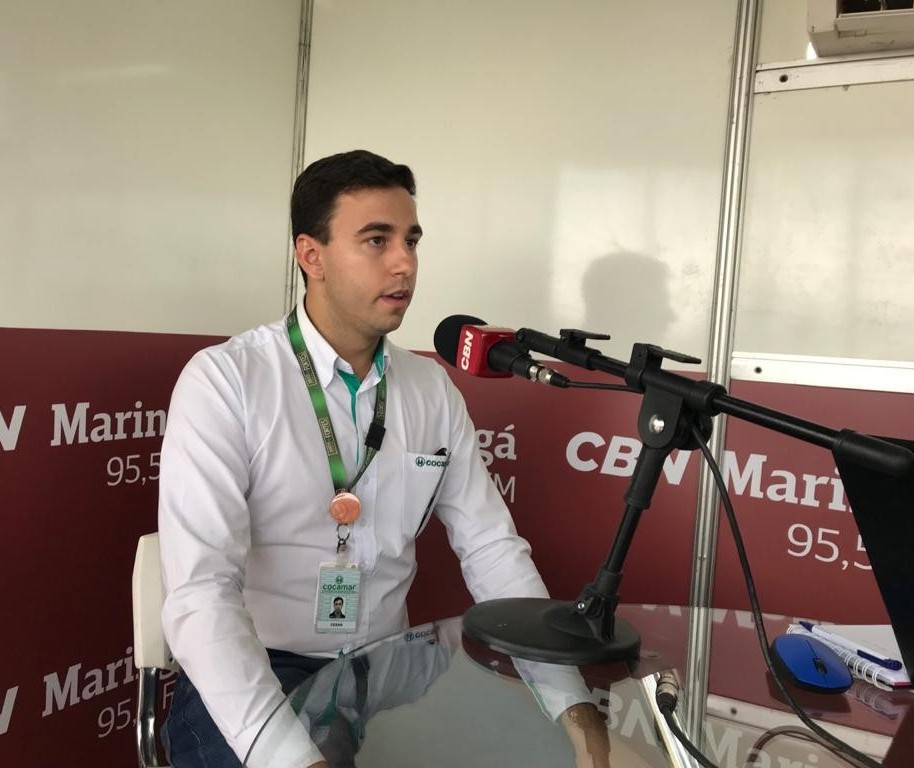 Sorgo é mais uma opção de cultura de inverno para o produtor