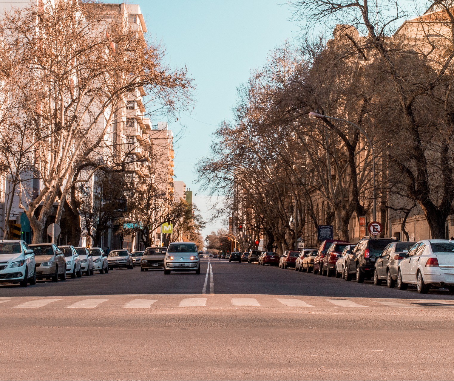 Automóveis não vão sair das ruas tão cedo